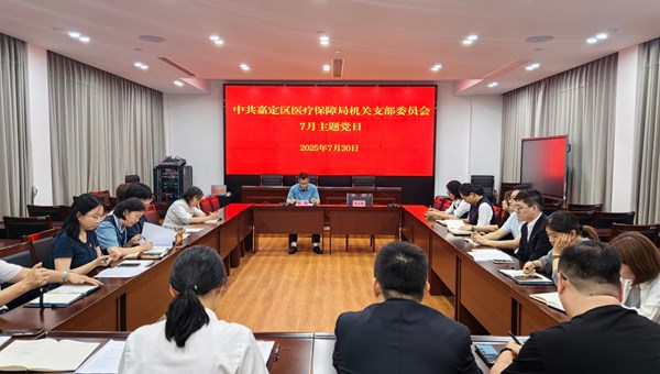 区医保局机关党支部开展“深学笃行强作风 交流互鉴促践行”主题党日活动